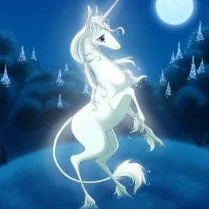 Meet your Posher, Jenny